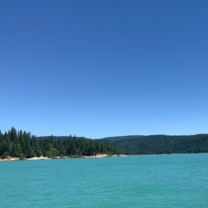 Meet your Posher, Sean